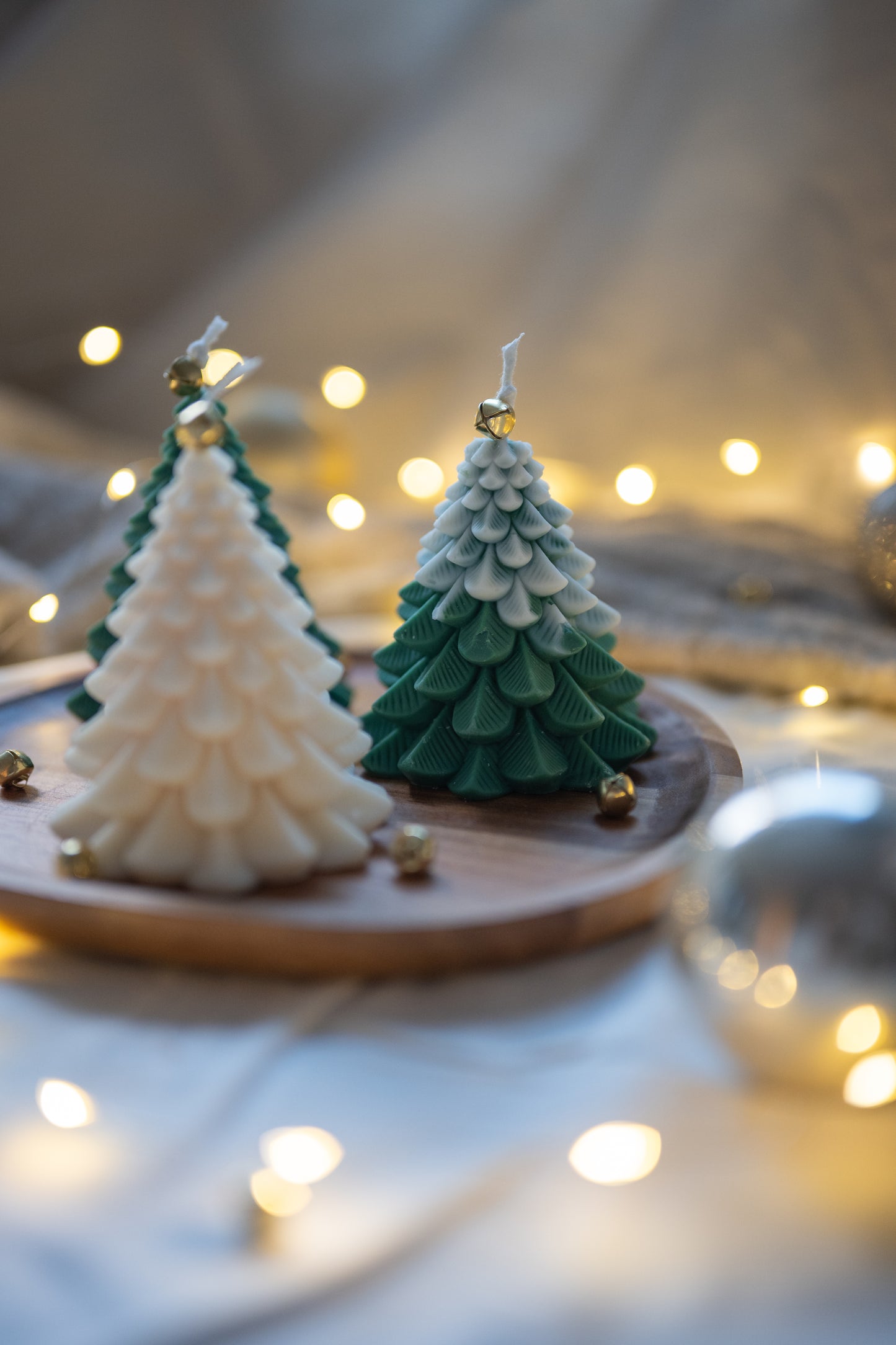 Sapin d Hiver besneeuwd