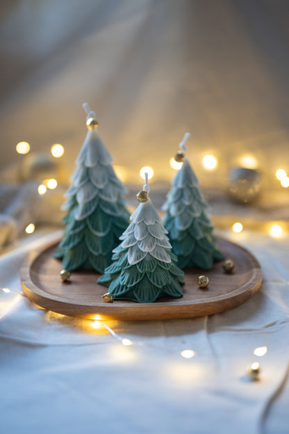Forêt Enchantée petit besneeuwd