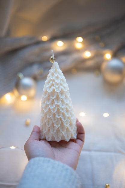 Lueur du Sapin grande creme