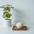 Load image into Gallery viewer, bloem kaars
